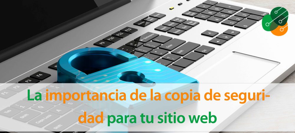 La_importancia_de_las_copias_de_seguridad_para_tu_sitio_web